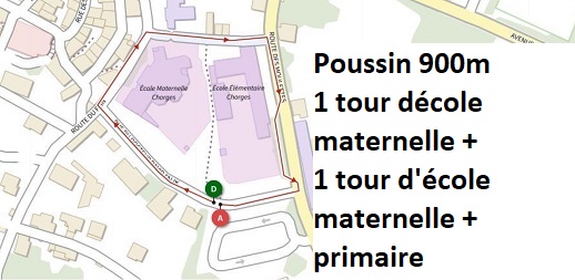 vignette poussin